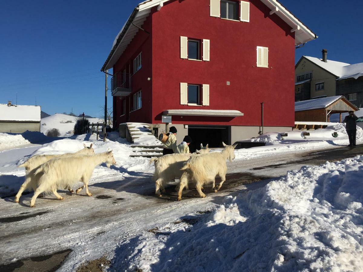 Urnäsch Bnb Chezlise المظهر الخارجي الصورة